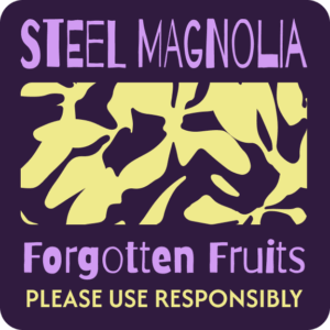 Framed Steel Magnolia Print